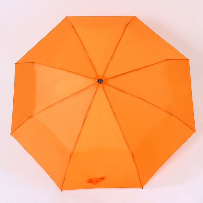 Lightweight Umbrella 2