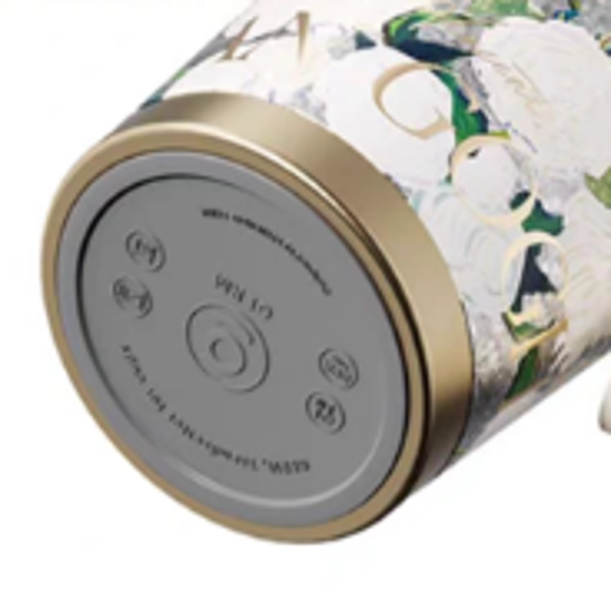 TF 1082 - GERM × THE MET  Van Gogh Series Pure Titanium Shining Vacuum Tumbler [500ML]