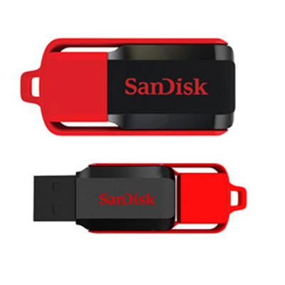 Sandisk Switch