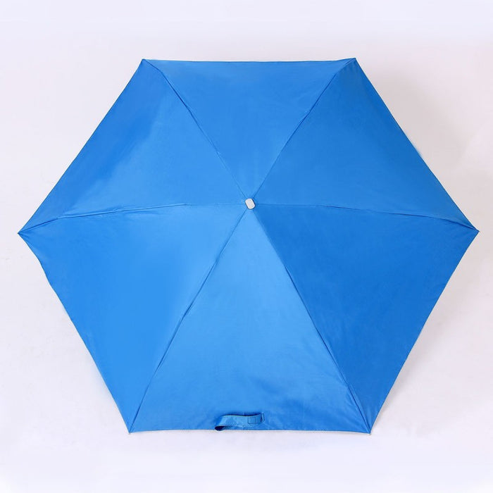 Foldbale umbrella with EVA case