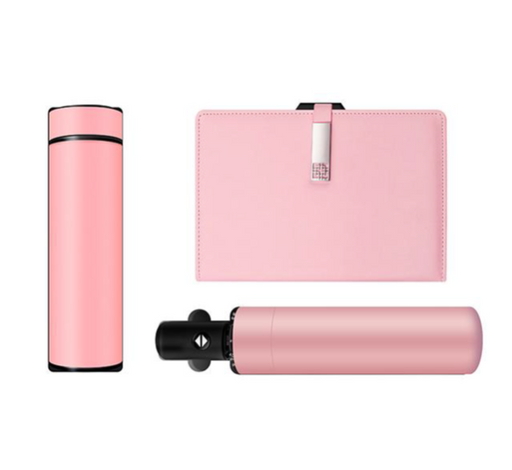 Morandi Color Series: Flask + A5 Notebook + Umbrella