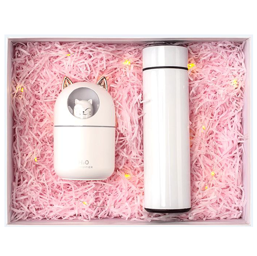 Humidifier with Ambient Light + Vacuum Flask