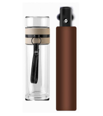 Tea Infuser Bottle + Umbrella