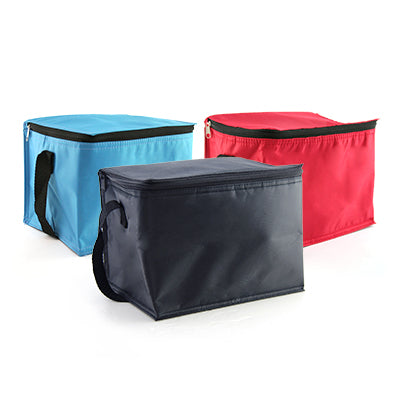 Trendy Insulated Cooler Bag