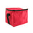 Trendy Insulated Cooler Bag