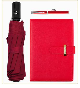 Umbrella, Notebook & Pen Giftset