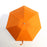Lightweight Umbrella 1