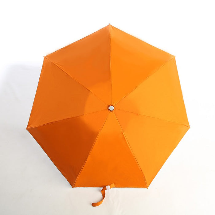 Lightweight Umbrella 1