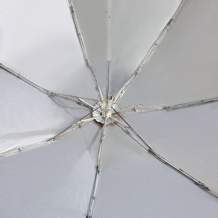 Lightweight Umbrella 1