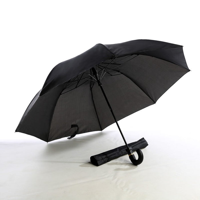 Two Fold Auto Open Umbrella 1