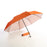 Large Foldable Umbrella 1