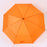 Lightweight Umbrella 2