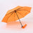 Lightweight Umbrella 2