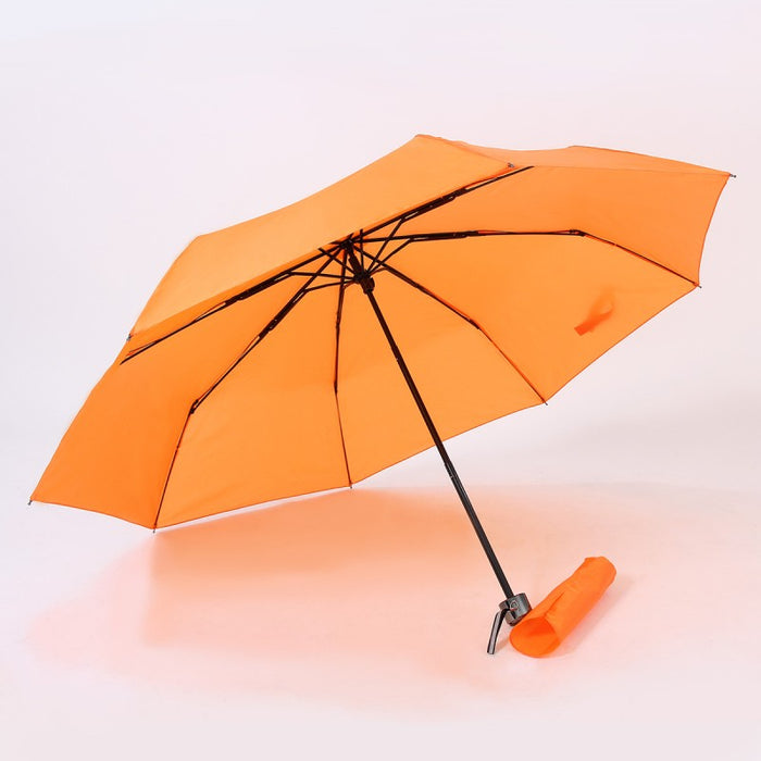 Lightweight Umbrella 2