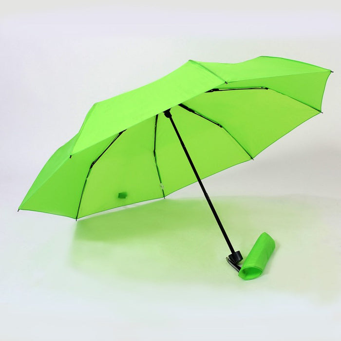 Lightweight Umbrella 2