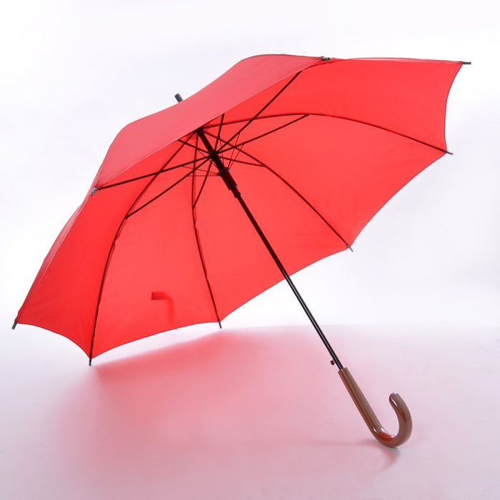 Large Foldable Umbrella 4