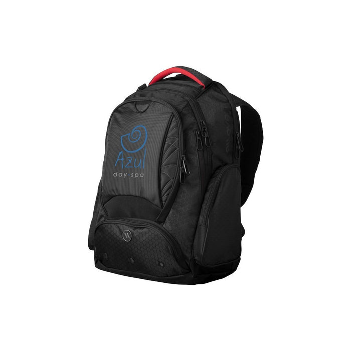 Vapor checkpoint-friendly 17" computer backpack