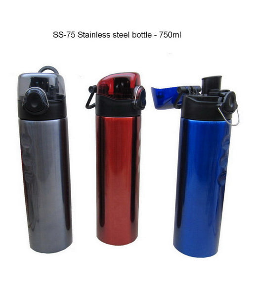 Stainless Steel Bottle 1
